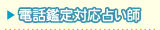 �d�b�Ӓ�Ή��肢�t